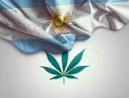 image from ¡Argentina regula la venta de marihuana medicinal en farmacias y legaliza el autocultivo!