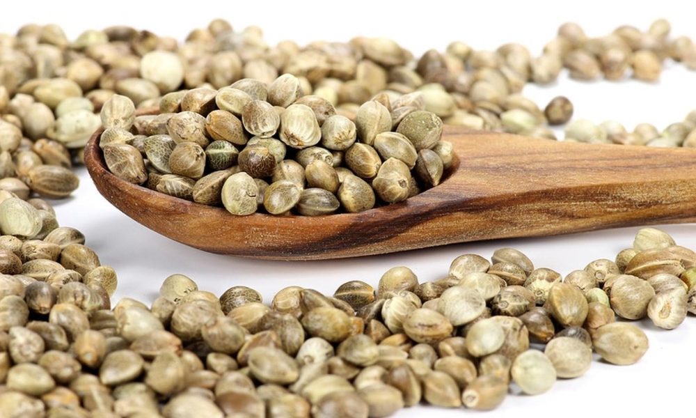 Aceites de semilla de cáñamo, de CBD y de espectro completo ¿Cuál es la diferencia?