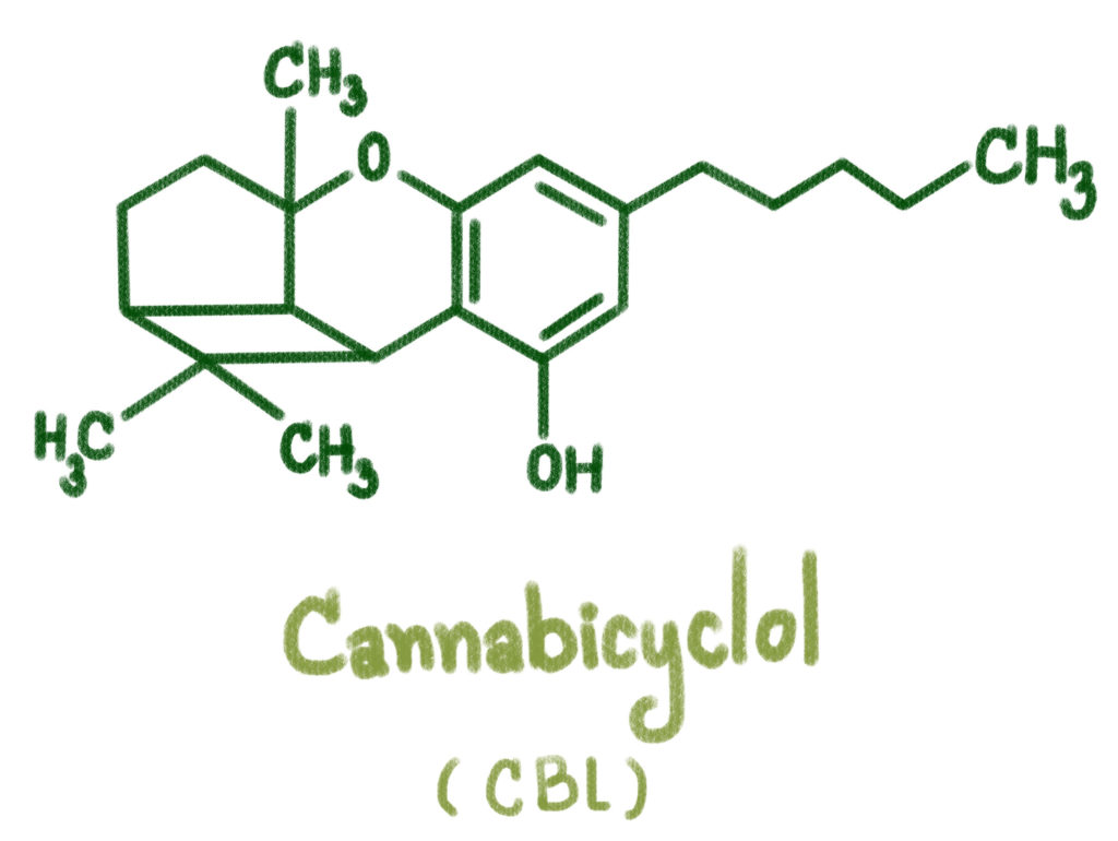Explorando los cannabinoides menores: ¿Qué es el CBL?
