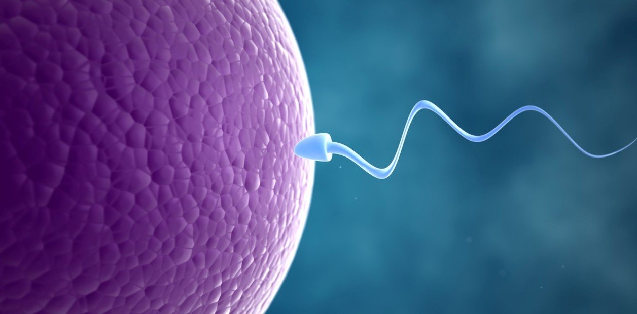 ¿Podría el cannabis afectar tu fertilidad?
