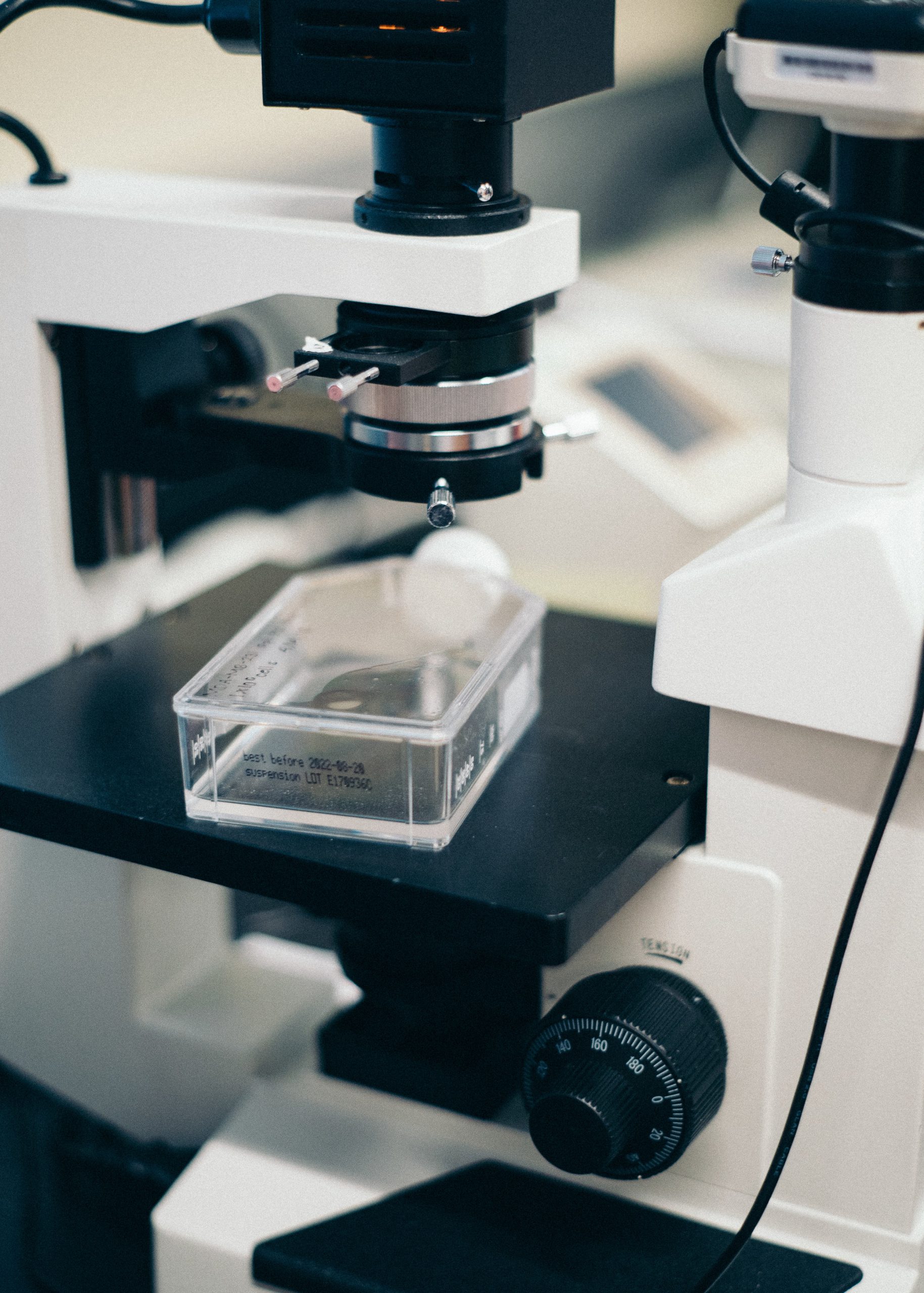 Explorando los cannabinoides menores: el CBG y su gran potencial