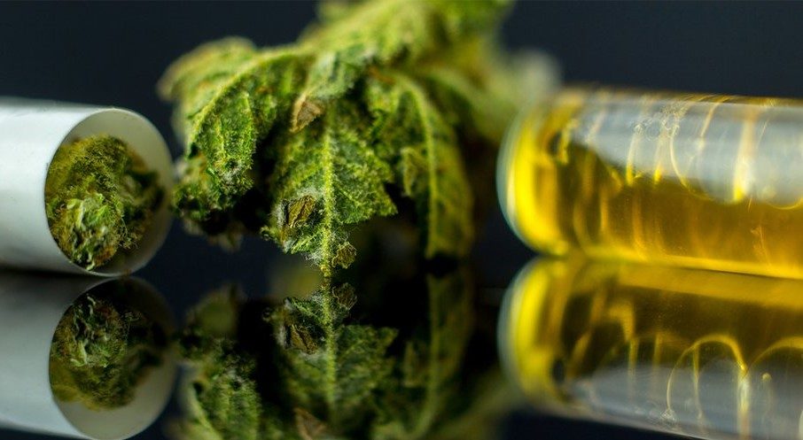 ¿Qué tan adecuado es consumir cannabis mientras estás usando antibióticos?