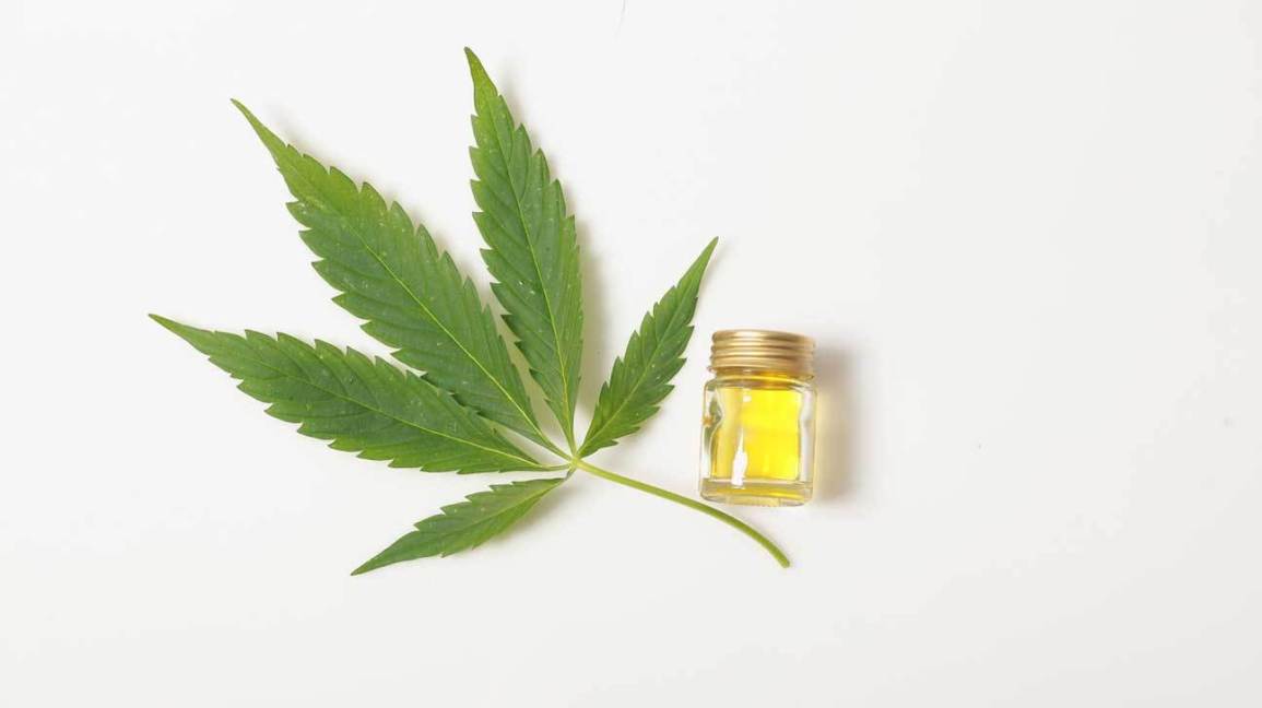 Estudio reciente revela que el CBD es más buscado en Google que la acupuntura o la meditación