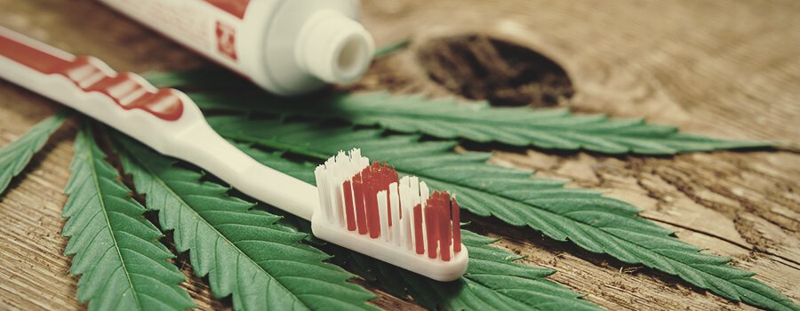 Estudio reciente: la marihuana podría prevenir mejor las caries que las pastas disponibles en el mercado