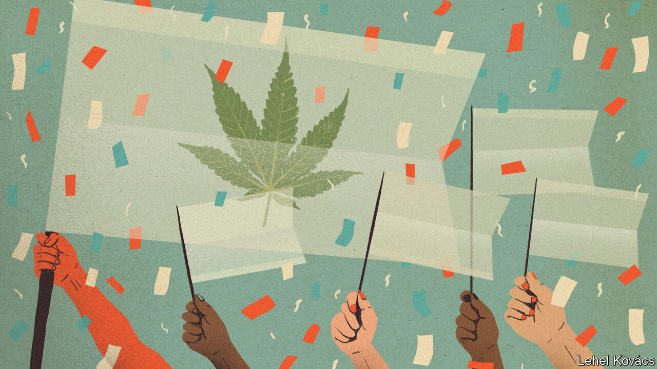 Todo lo que debes saber sobre la legalización del cannabis a nivel global
