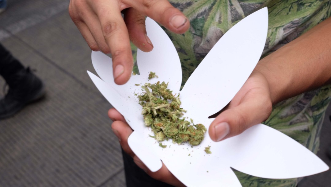 Pros y contras de la legalización del cannabis