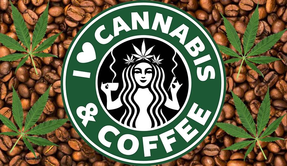 Starbucks sería la primera cadena en ofrecer bebidas con CBD